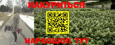 индика Мариинск