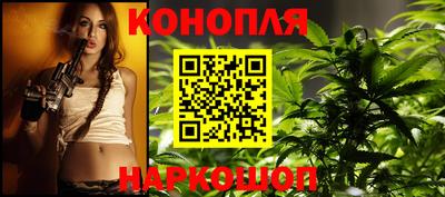 индика Мариинск