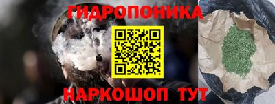 индика Мариинск