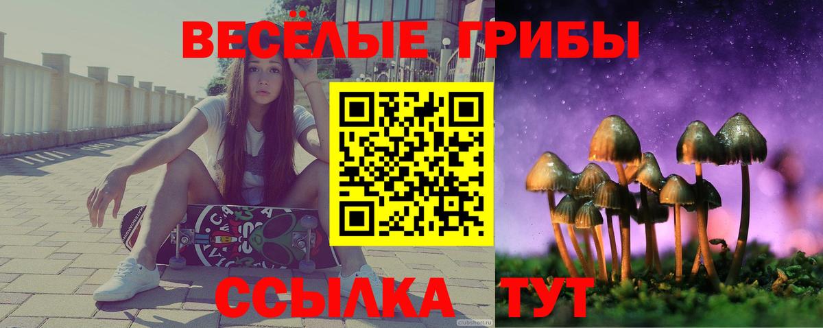 Южноуральск  Псилоцибиновые грибы Psilocybine cubensis  Вход с VPN 